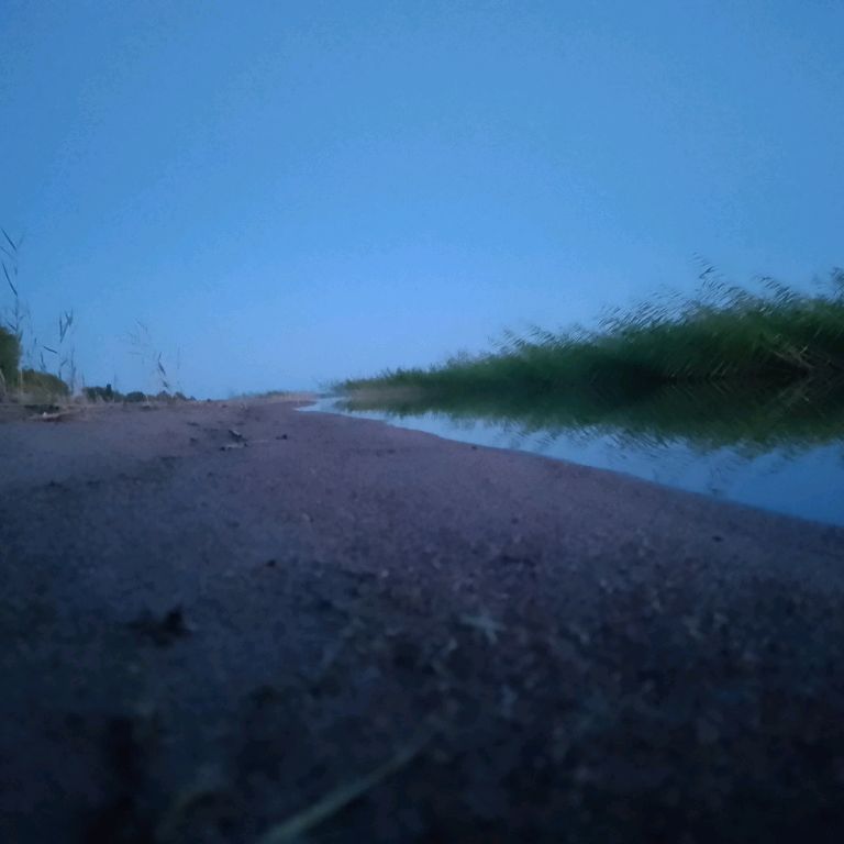 Иконка канала Kmart