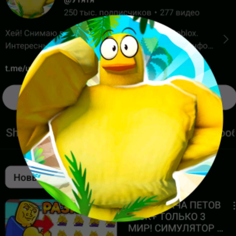 Аватар автора