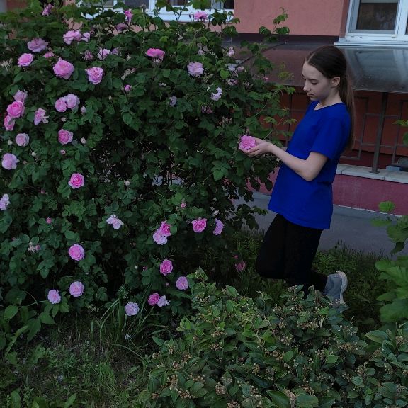 Аватар автора