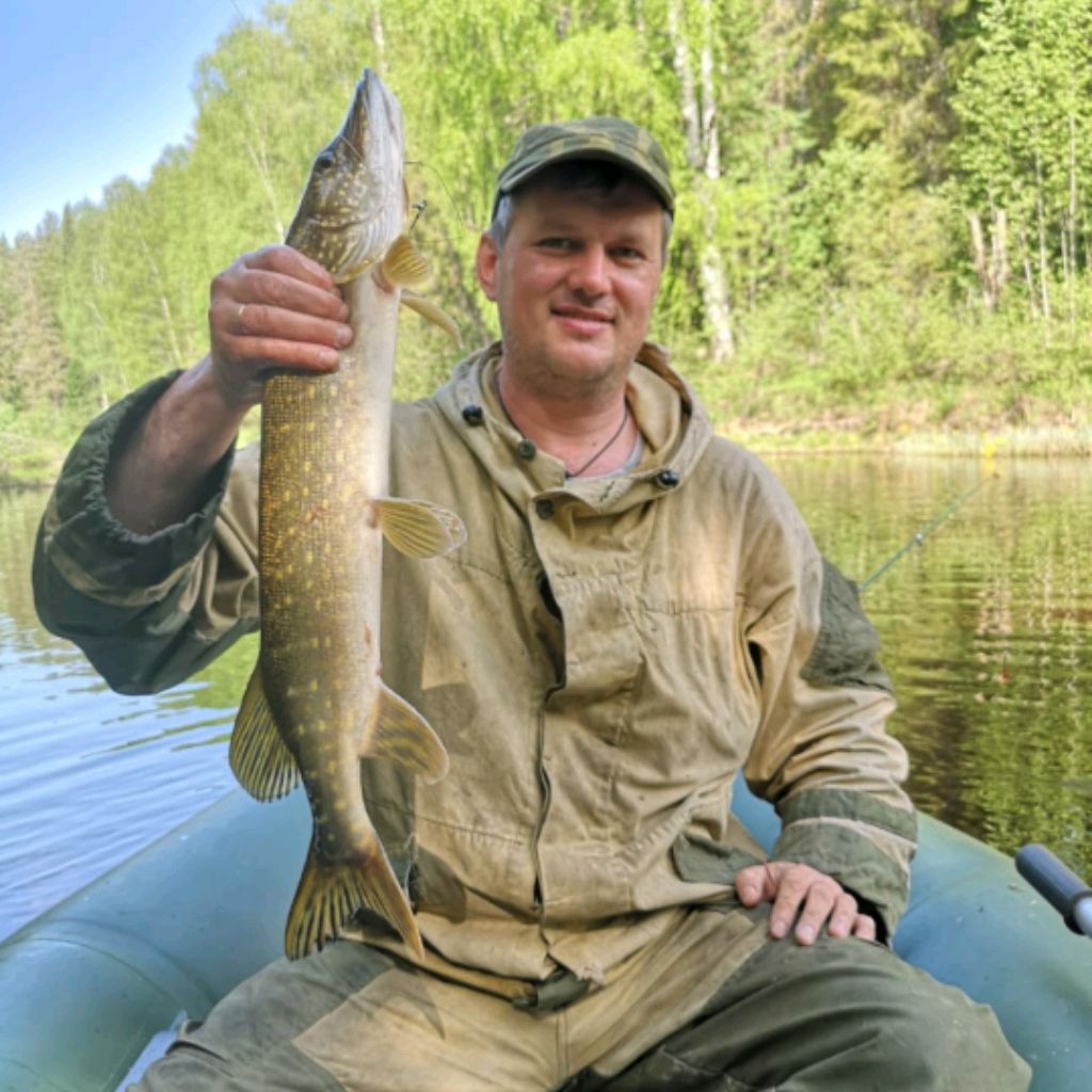 Аватар автора