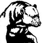 Иконка канала ЧП. Сибирь.