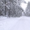 Иконка канала Tuzik
