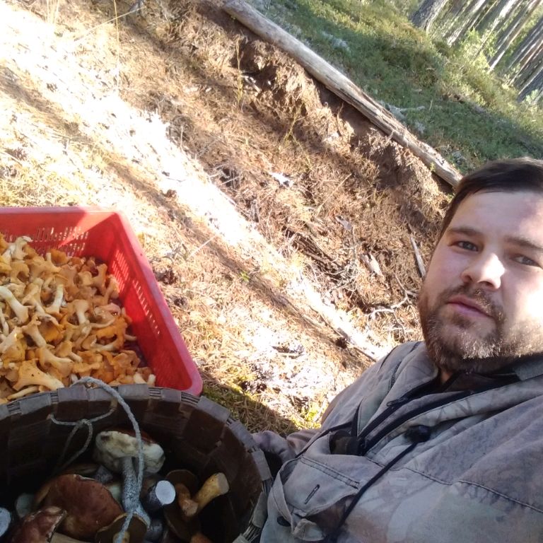 Аватар автора