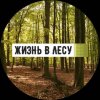 Иконка канала лесная жизнь🌳