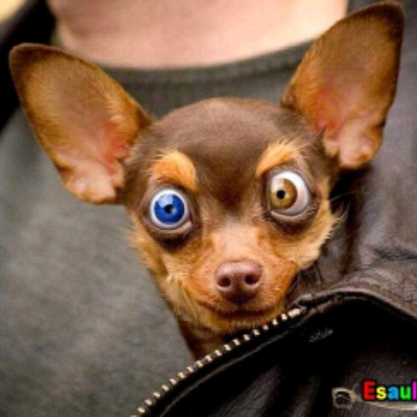 Иконка канала Кто То