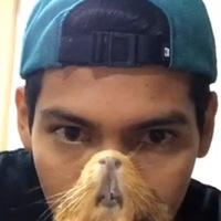 Иконка канала Проверь талант online