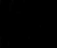 Иконка канала TWIN