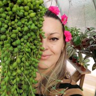 Иконка канала VEDA PLANTS