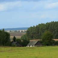 Иконка канала Деревенский Лесной Дом