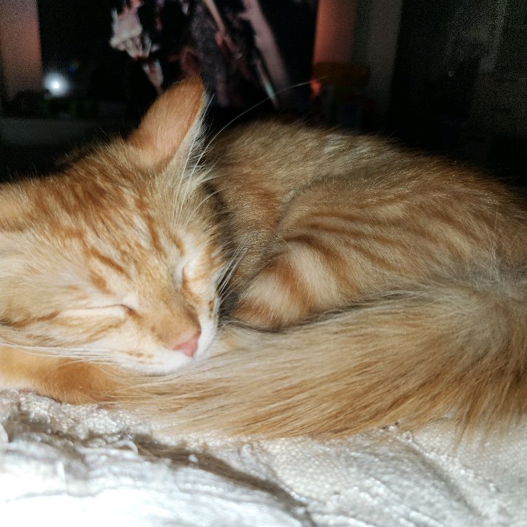 Иконка канала Makbug