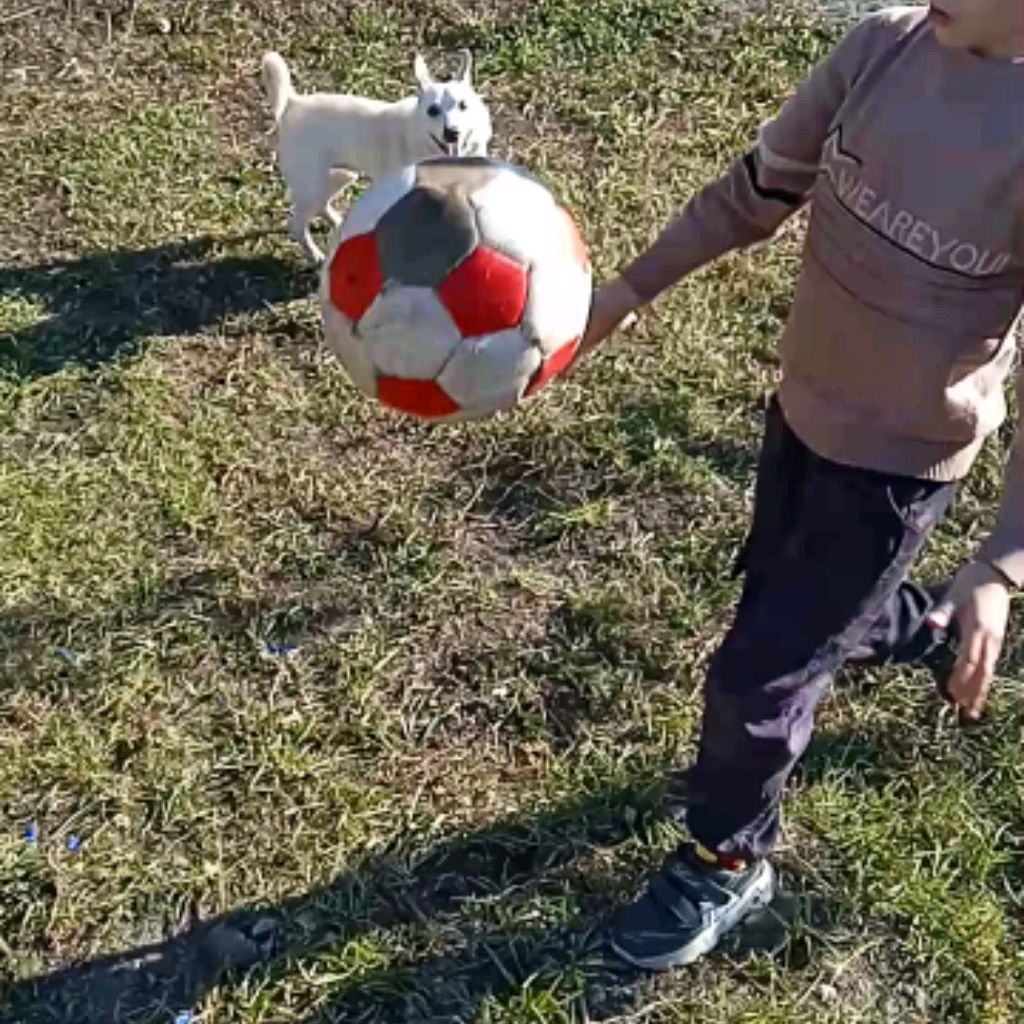 Иконка канала Пёс ФИЗРУК