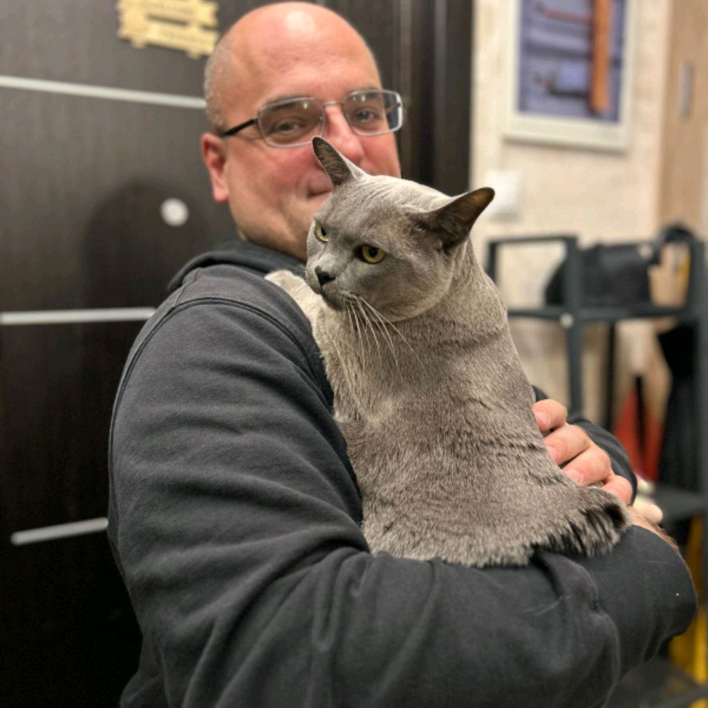 Аватар автора