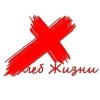 Иконка канала Церковь Хлеб Жизни | Омск