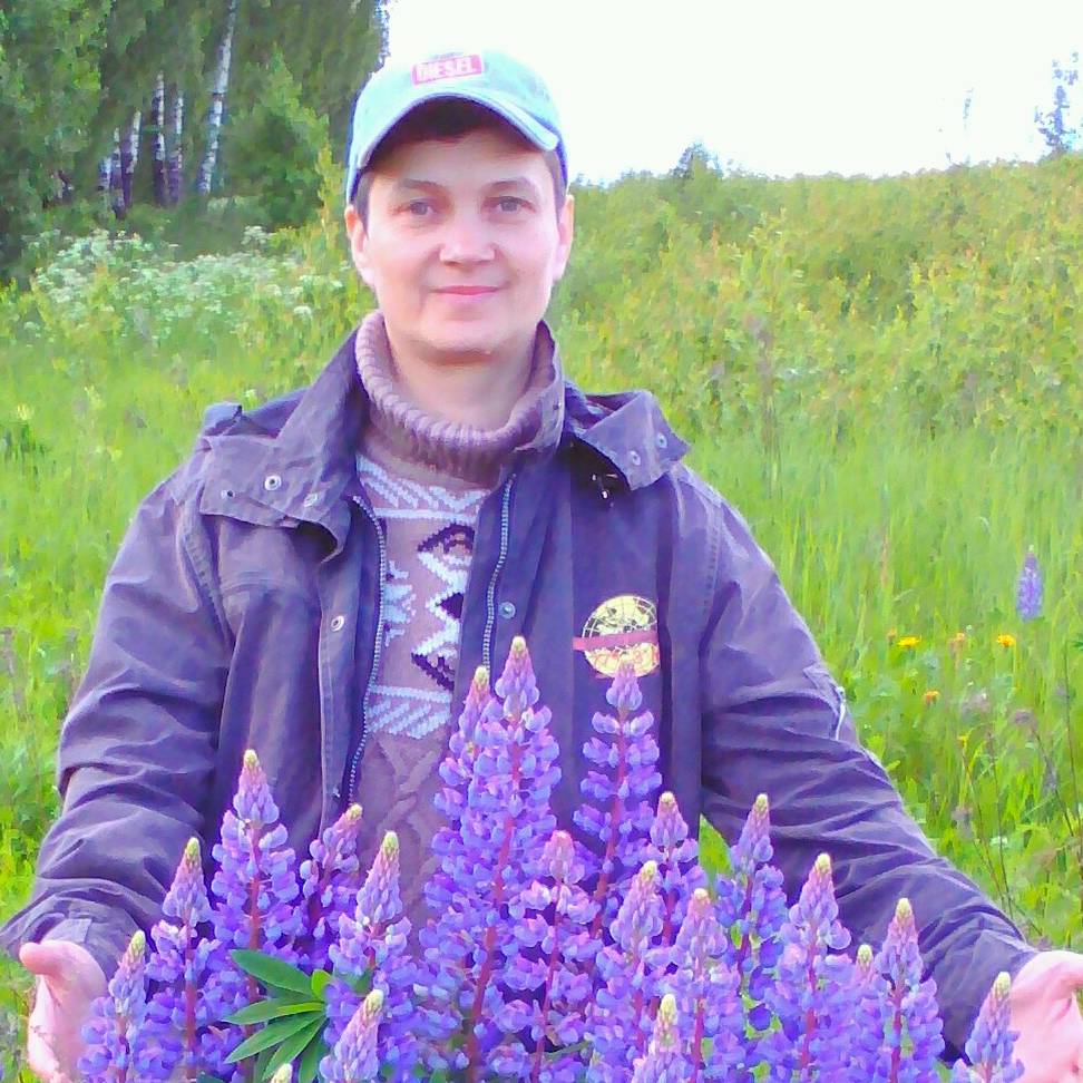 Аватар автора