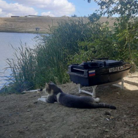 Аватар автора