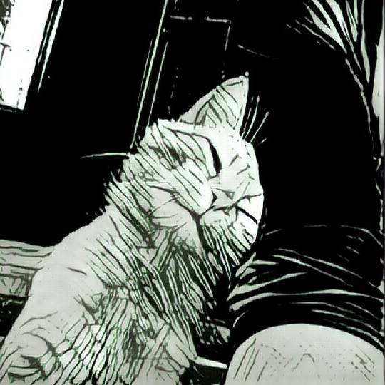 Аватар автора