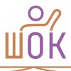 Иконка канала Онлайн школа ШОК
