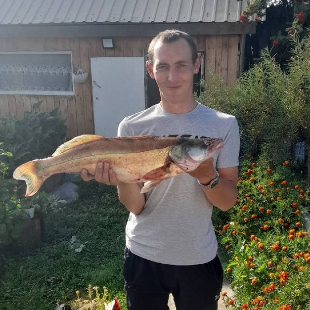 Аватар автора