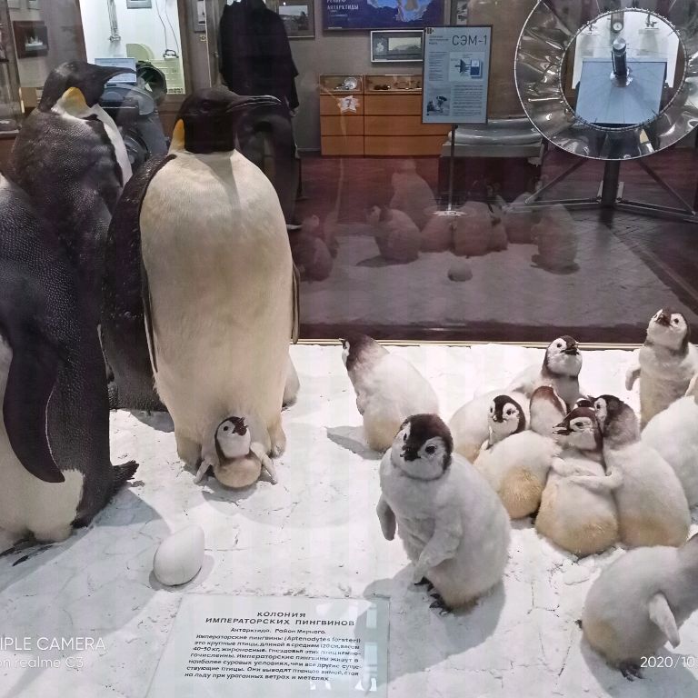 Аватар автора