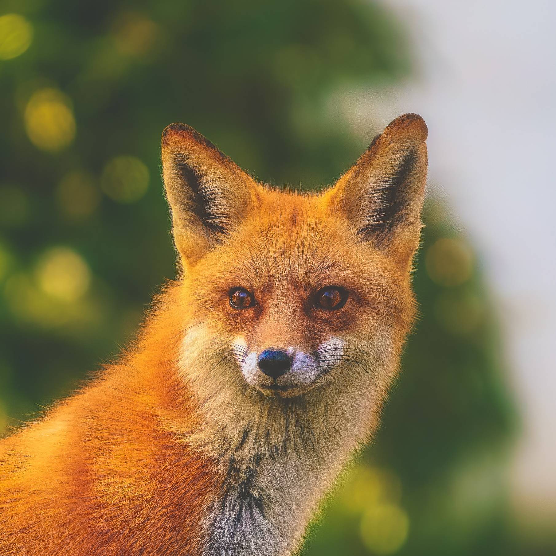 Иконка канала channel30319903