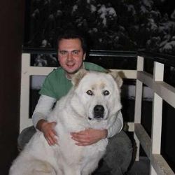 Аватар автора