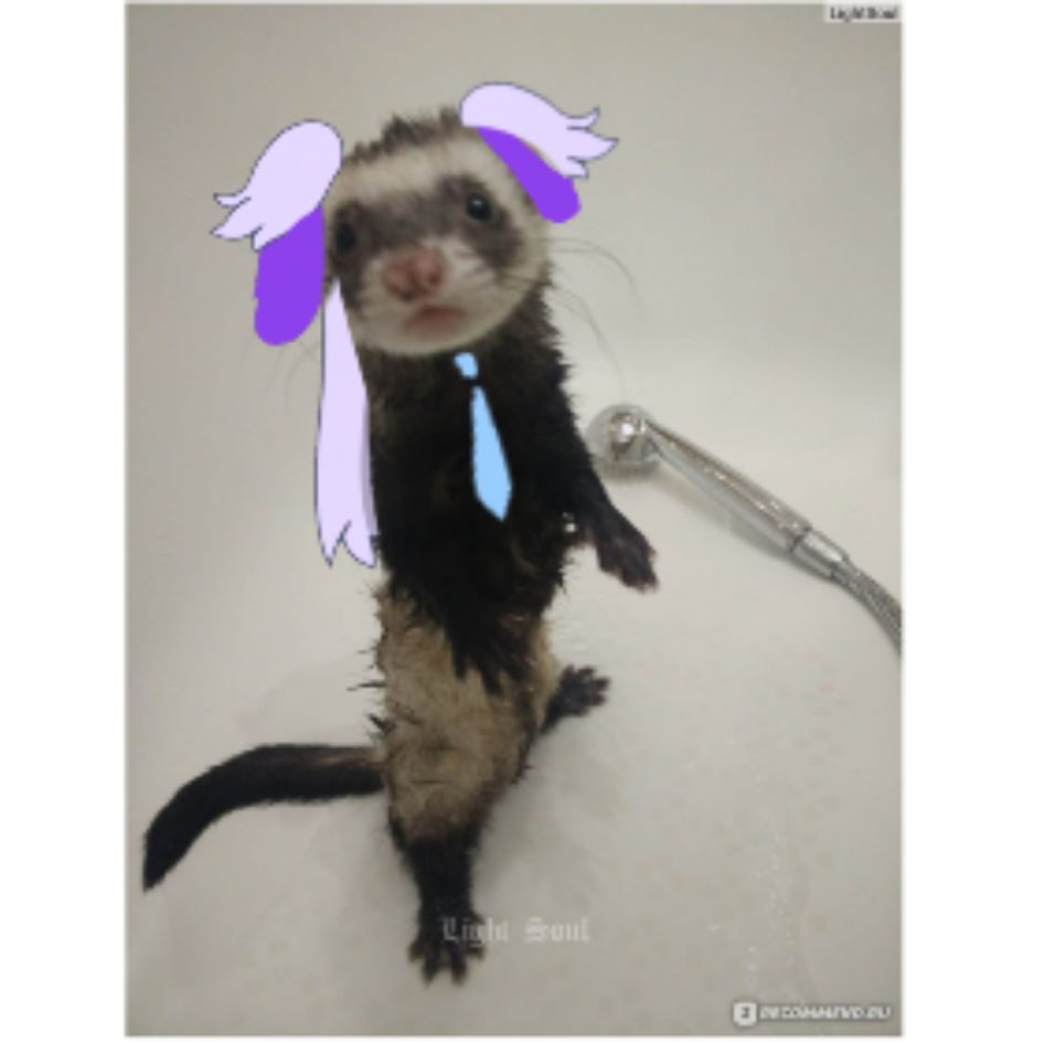 Аватар автора