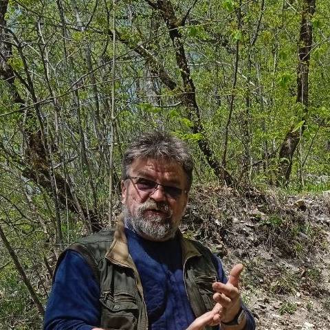 Аватар автора