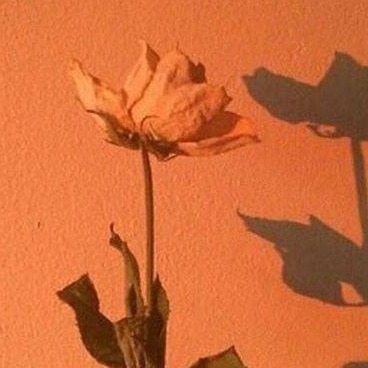 Иконка канала Костя Осипов