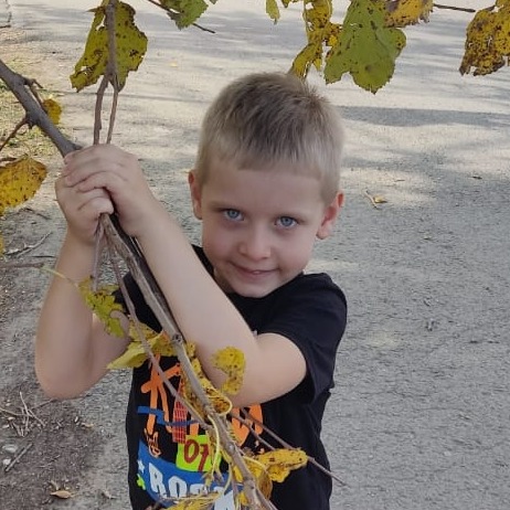 Аватар автора