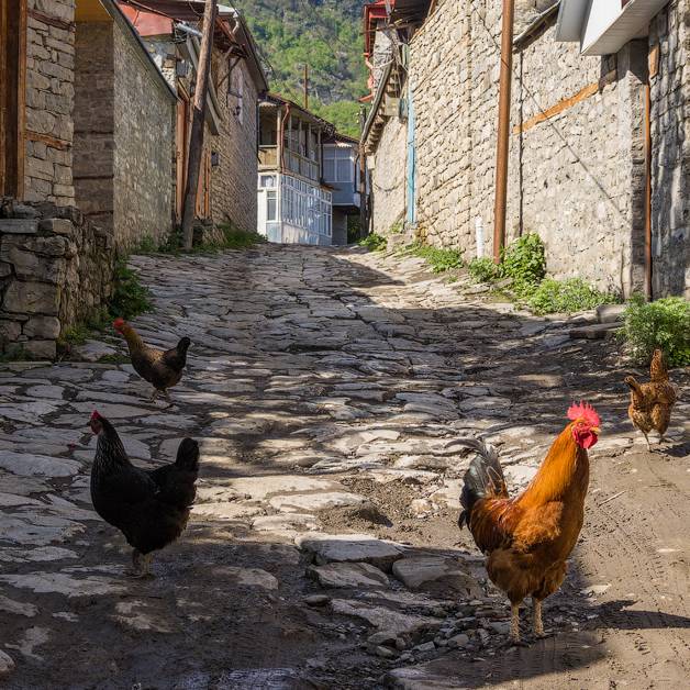 Аватар автора