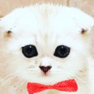 Иконка канала КАРТОШКА ШОУ