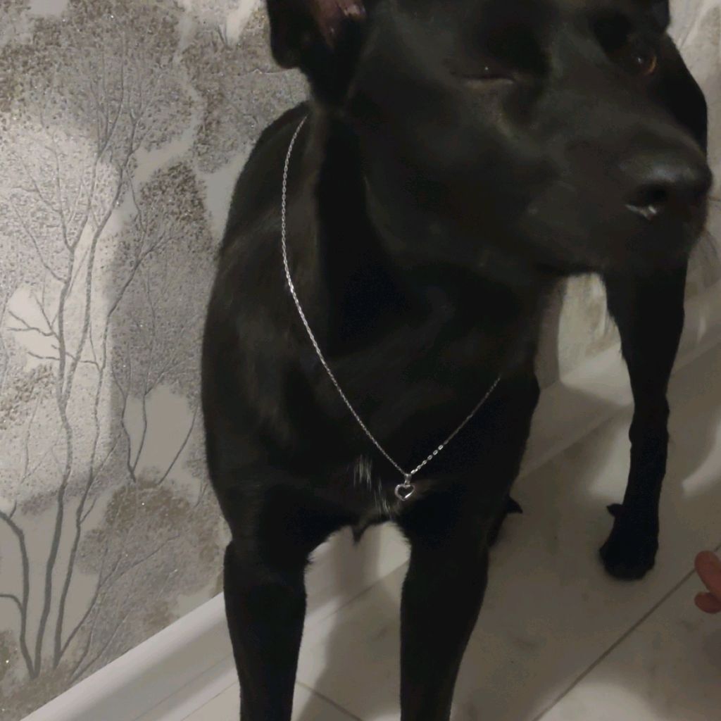 Иконка канала Svetlonator tube