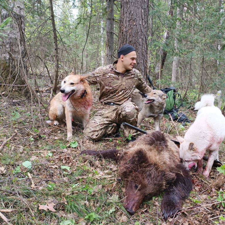 Аватар автора