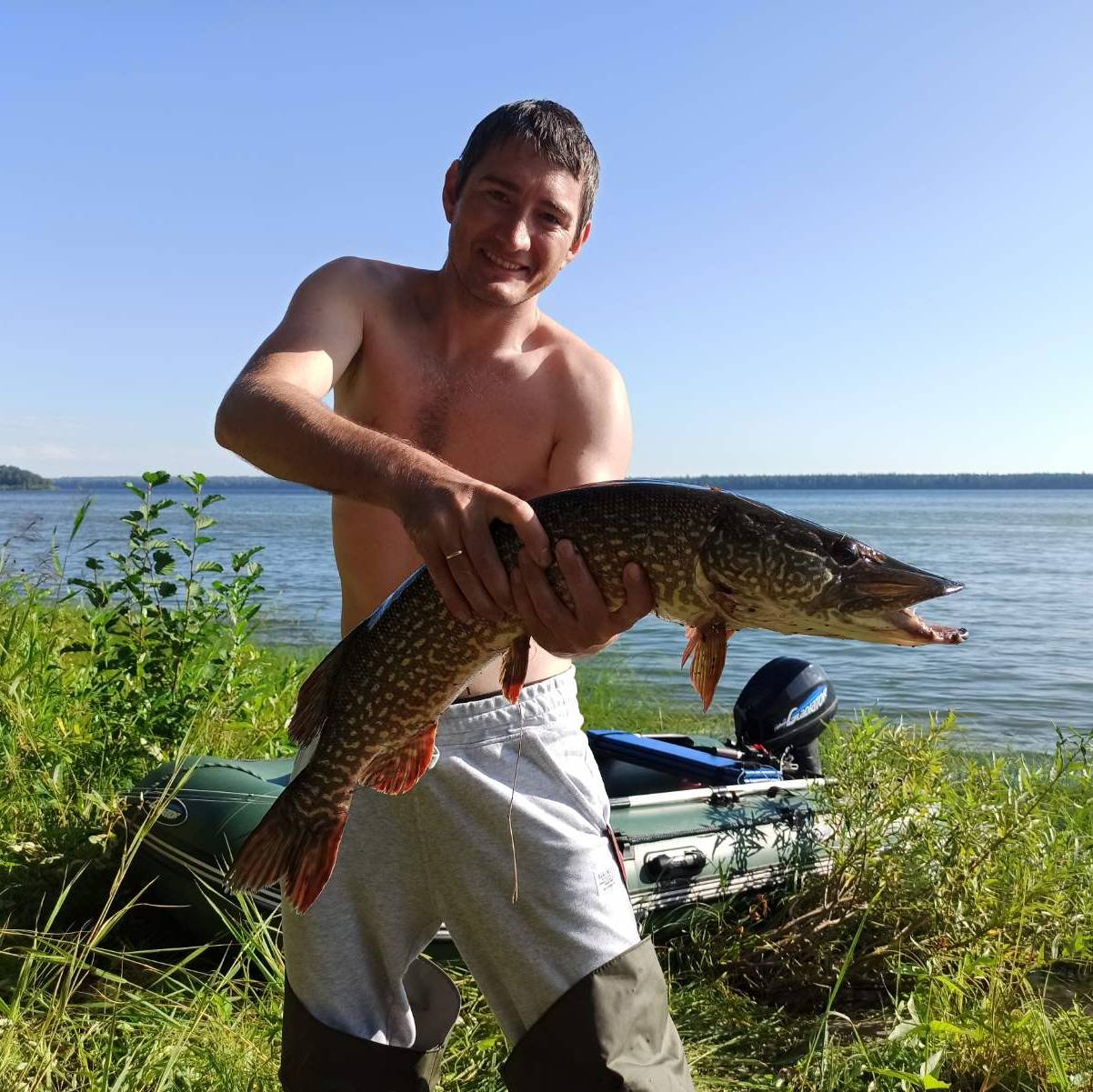 Аватар автора