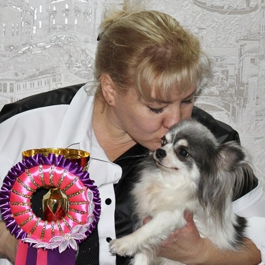 Аватар автора