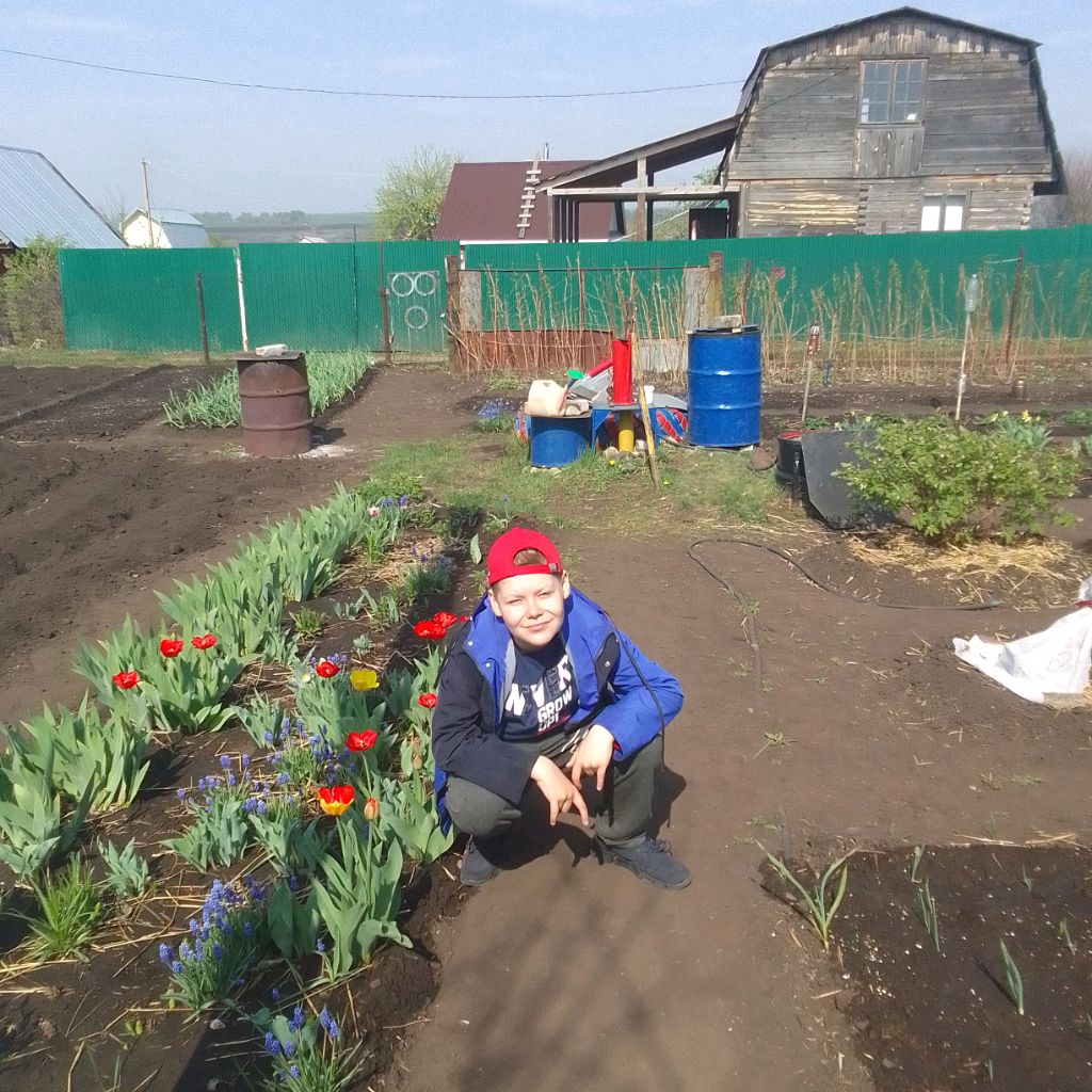 Аватар автора