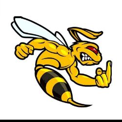 Иконка канала hornet02rus