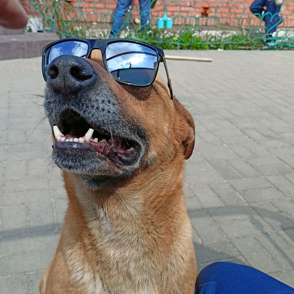 Иконка канала hramuta