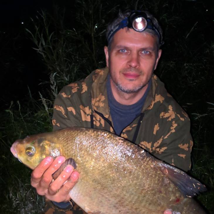 Аватар автора