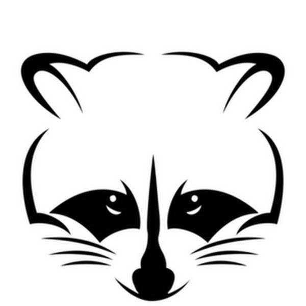 Иконка канала Raccoon