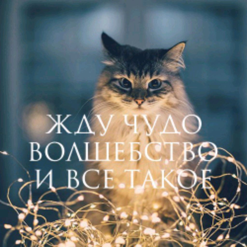 Иконка канала pion