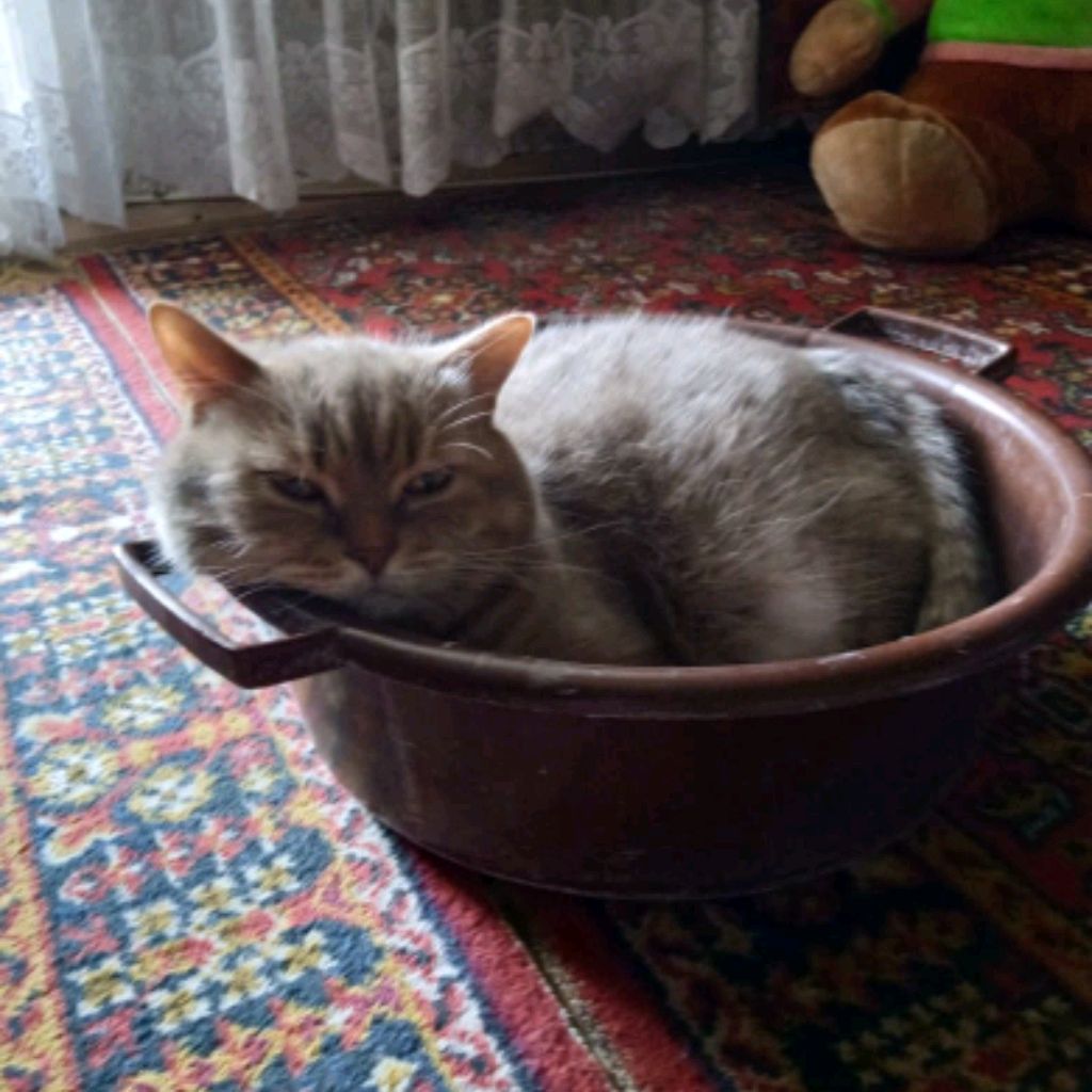 Аватар автора