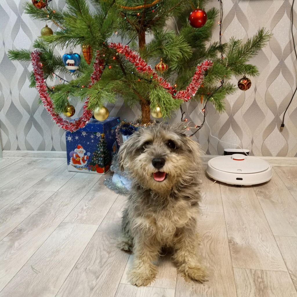 Иконка канала channel34591993