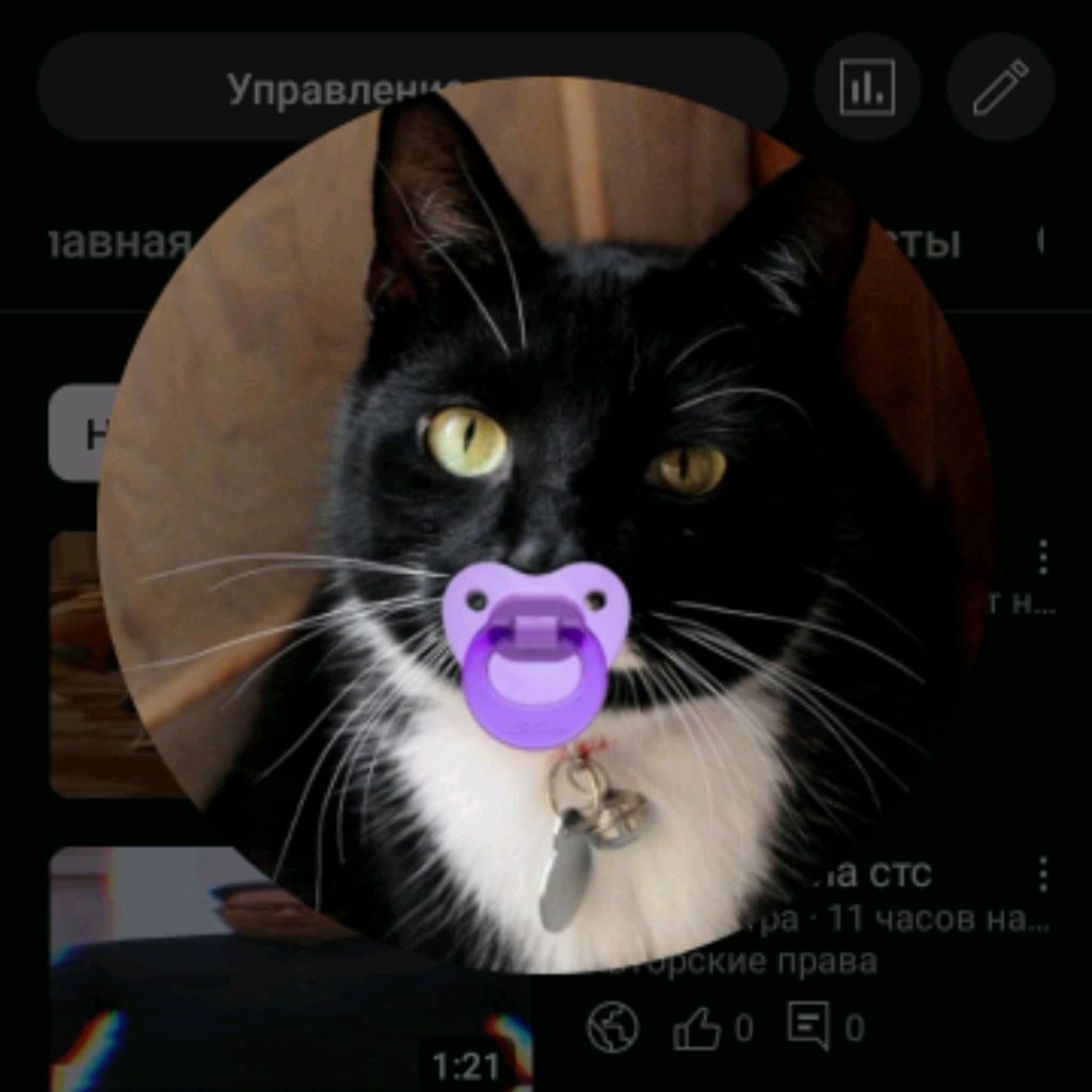 Аватар автора