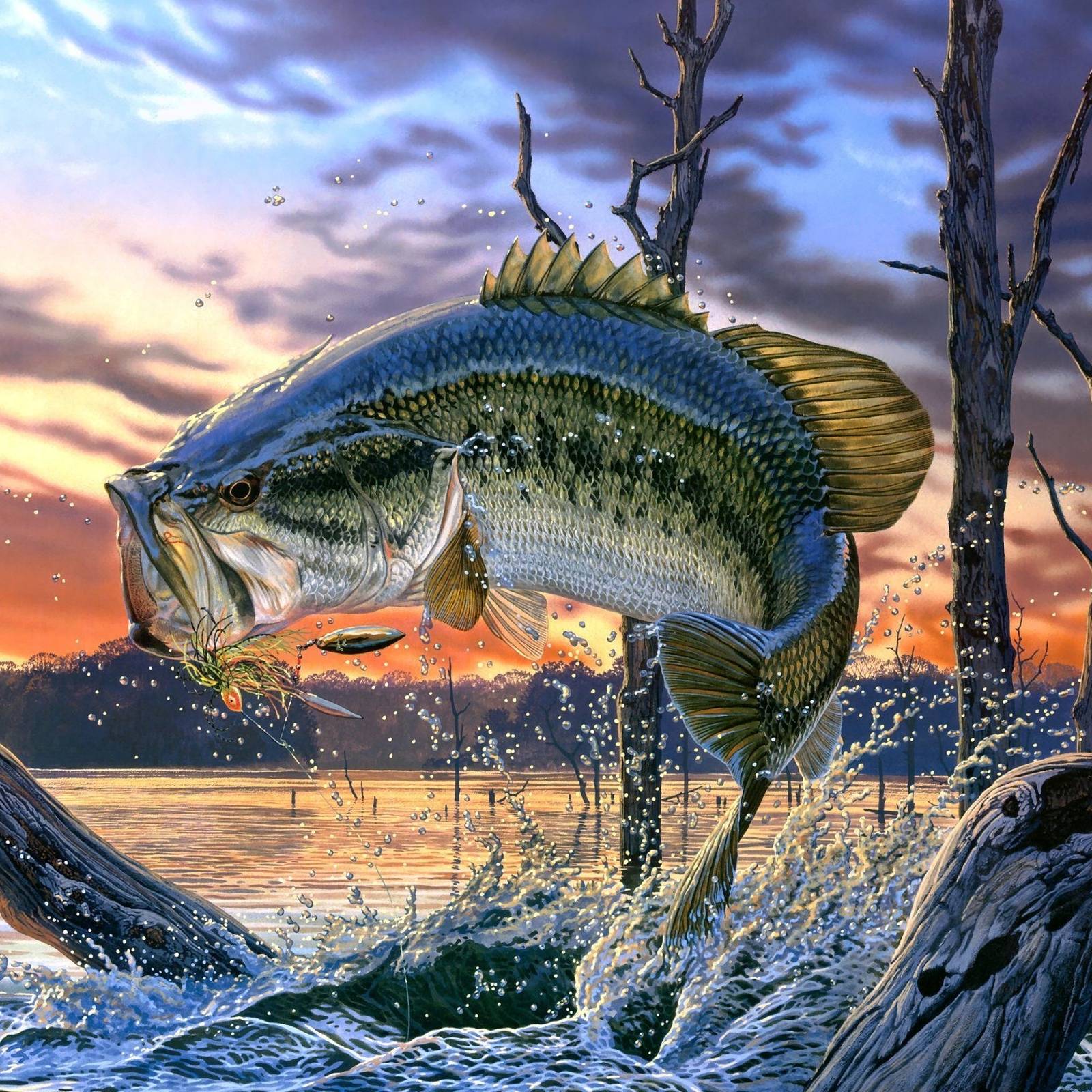 Иконка канала рыбалка 86