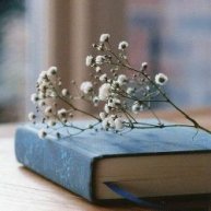 Иконка канала Матвеево-Курганская библиотека