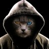 Иконка канала channel25878999