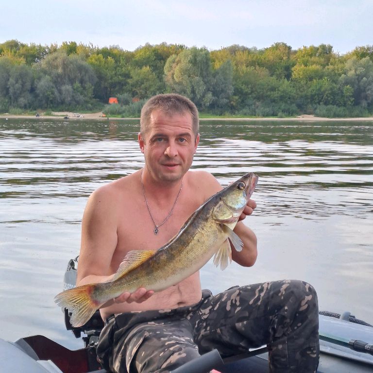 Аватар автора