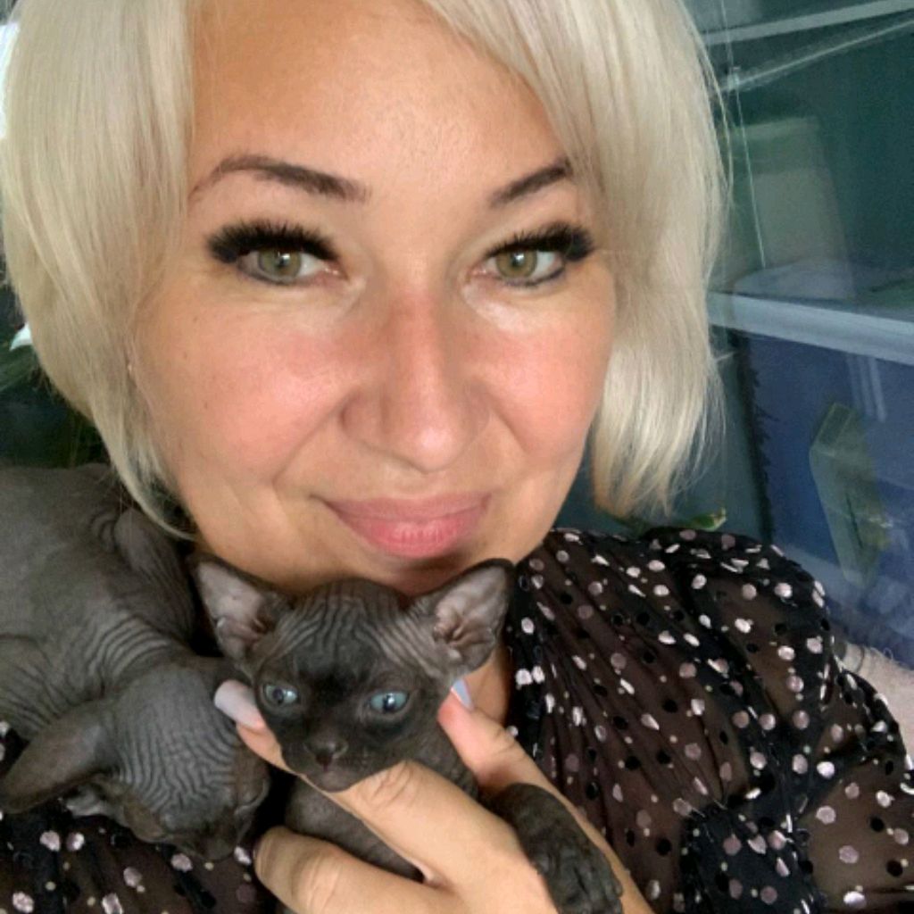 Аватар автора