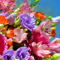 Иконка канала Маргарита Нелидина